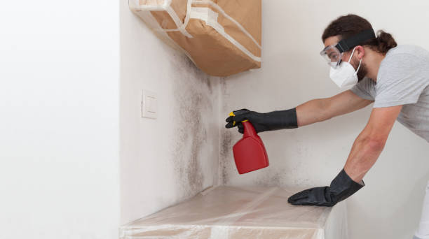 Professional Black Mold Removal technician working in Piney Point, MD